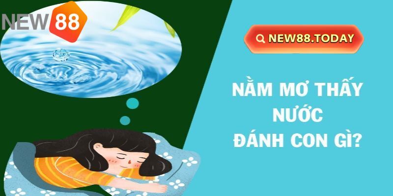 Nằm mơ thấy nước và những điềm báo cá cược hấp dẫn Nằm mơ thấy nước và những điềm báo cá cược hấp dẫn